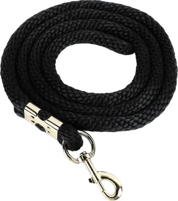 Image de Corde d'entraînement pour chevaux avec boucle à ressort, corde d'entraînement robuste et très résistante pour les compétitions et la traction quotidienne, 6,6 pieds, noire