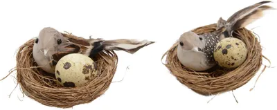 Produktbild von Nest mit Eiern und Vogel 7cm, 2er Set