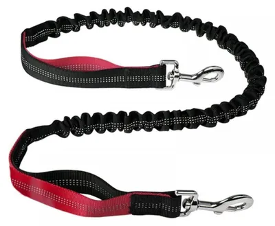 Image de Laisse élastique pour chien, rouge, de 120 à 150 cm. Laisse de jogging réfléchissante, extensible