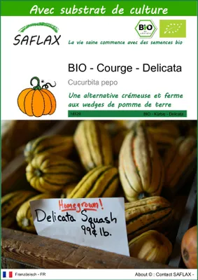 Image de SAFLAX -- Courge - Delicata - 6 graines - Avec substrat - Cucurbita