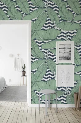 Produktbild von Coloray Fototapete 312x219 cm Latextapete Magicstick - Minimalistische Blätter Monstera Blätter