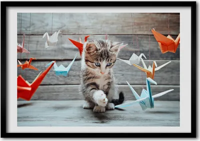 Produktbild von Bild - Bilder - Bilderrahmen - 70 cm x 50 cm - MDF-Rahmen, Wandkunst Katze mit Papiervögel