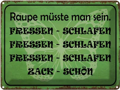 Produktbild von vianmo Blechschild 30x40 cm Raupe sein fressen schlafen Spruch Zitat