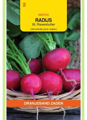 Zdjęcie produktu dla Oranjeband – Rzodkiew olbrzymia, masłowa – 1 opakowanie nasion