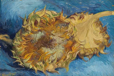 Obrázok produktu pre Plagát Slnečnice 30x20cm, Van Gogh Vintage do obývačky