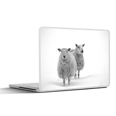 Produktbild von MuchoWow® Laptop Aufkleber Sticker Cover Schafe - Schnee - Weiß 25x18 cm - Laptop-Deko