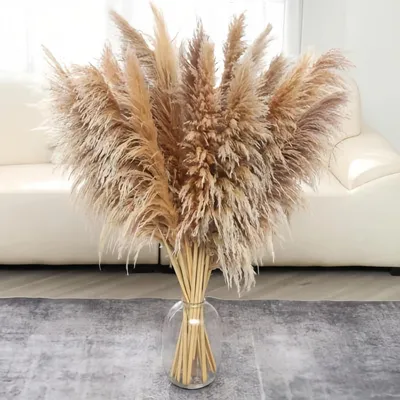 Produktbild von Pampasgras Trockenblumen Braun 20 Stück 90cm XL