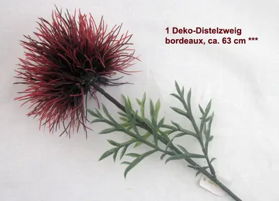 Produktbild von 1 Deko-Distelzweig bordeaux ca. 63 cm