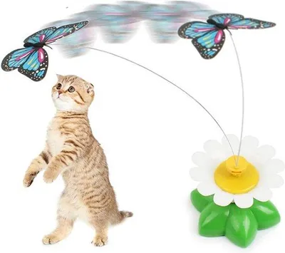 Produktbild von Elektronisches Katzenspielzeug Automatisch Innen