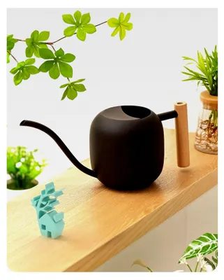 Produktbild von Gießkanne für den Innenbereich, 1,2 l, Edelstahl, Bonsai-Gießkanne mit Holzgriff, Metall-Gießkanne mit langem Ausguss für kleine Topfpflanzen und Blumen (schwarz)