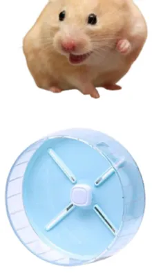 Produktbild von Hamsterlaufrad – Design: Rutschfest – Trainingsrad – Laufrad für Hamster – Geeignet für Hamster, Rennmäuse, Zwerghamster und Syrischen Hamster – 26 cm