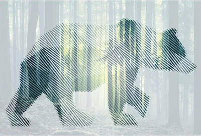 Produktbild von Digitaldruck-Tapete Bear Forest 1 Architects Paper (1031793)
