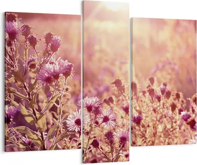 Produktbild von Bild auf Leinwand - Leinwandbild - 3 Teile - Wiese Blumen Sonne - 95x80cm - Wand Bild - Wanddeko - Wandbilder - Leinwanddruck - Bilder - Wanddekoration - Leinwand bilder - Wandbild - CB95x80-4819