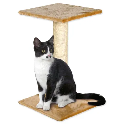 Zdjęcie produktu dla MAGIC CAT Beata beżowy 60 cm 1 szt