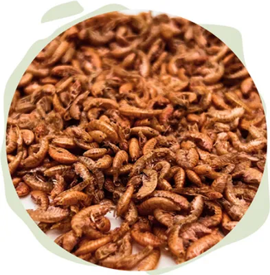 Produktbild von WTS - Naturhäppchen - Gammarus Bachflohkrebse - 10 000 ml - Naturfutter für Fische & Reptilien