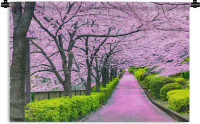 Produktbild von MuchoWow® Wandteppich Wandbehang Sakura - Japan - Frühling 90x60 cm Tapisserie Dekoration Wandtuch - Wandskulpturen - Bildteppich
