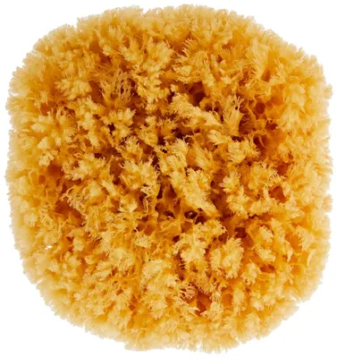 Produktbild von CROLL & DENECKE Naturschwamm 18cm Handveredelt Meeresschwamm Natur 1 Stück
