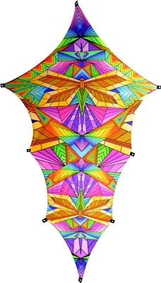 Produktbild von PSYWORK Schwarzlicht Segel Elasthan Drache L "Neon Polygon Dragonfly", 2,00x3,75m Dekotuch Wanddekoration Partydeko UV-aktiv