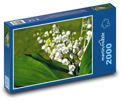 Obrázok produktu pre Puzzle 2000 Konvalinka - jarný kvet - martinpuzzle