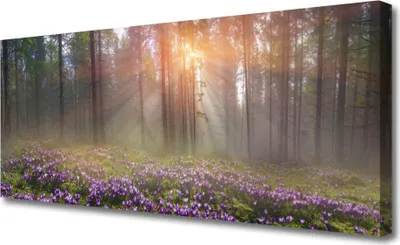Imagen del producto de Cuadros decorativos para pared, tipo lienzo, de 125x50 cm. Impresión artística sobre lienzo, con motivos de bosque, flores y naturaleza