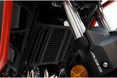 Imagen del producto de Protector para la rejilla del radiador, color , de la marca ISOTTA, para vehículos HONDA