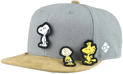 Bavarian Caps "Peanuts Transformer" Snapback Baseball-Cap in grau