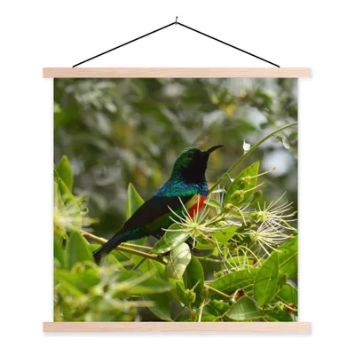 Produktbild von MuchoWow® Textilposter Vogel zwischen den Blättern im Dschungel 60x60 cm mit holzfarbenen Rahmen - Wanddekoration