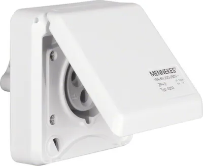 Produktbild von Berker 568101, Weiß, 250 V, 16 A, 50/60 Hz, 5 Stück(e)