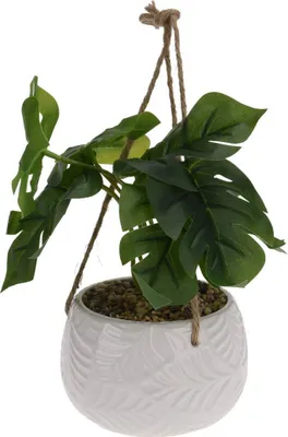 Image de Plante artificielle dans 2 pots 2