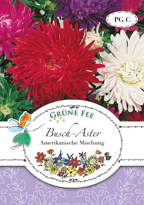 Produktbild von Busch-Aster Amerikanische Mischung | Asternsamen von Grüne Fee