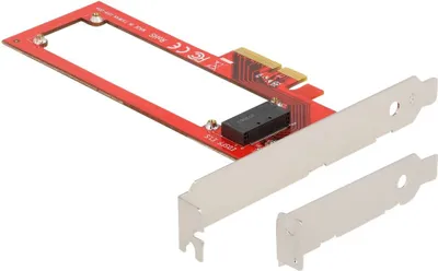 Image de DELOCK Carte PCI Express x4 vers 1 slot EDSFF E1.S