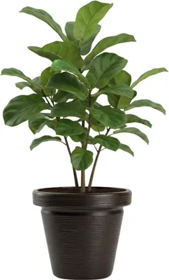 Image de HowHomely | Bac à fleurs - Pot de fleurs - marron - 40 x 46 cm - Extérieur - en matériau recyclé - Structure rainurée