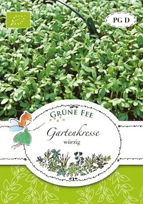 Artikelbild 1 von 'BIO Gartenkresse würzig' aus der Kategorie Kressesamen