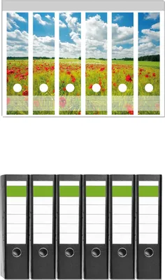 Produktbild von Wallario 6 Stück breite Ordner inkl. Klebeetiketten mit Motive Grüne Wiese mit Mohnblumen -  Set mit Rückenschildern / Ordnerrücken Stickern