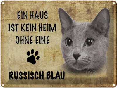 Produktbild von vianmo Blechschild 30x40 cm russisch blau Katze