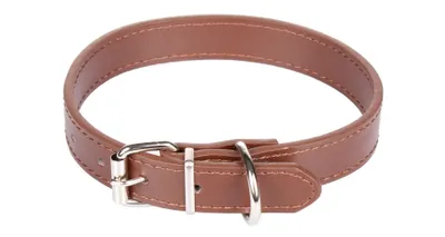 Obrázok produktu pre Multipack 5ks Dog Leash obojok pre psy hnedá, L