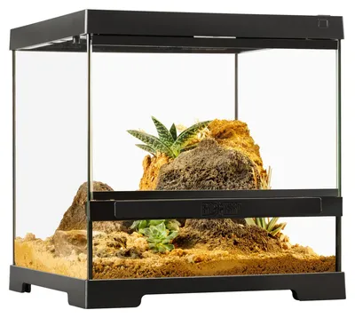 Produktbild von Exo Terra Pro Terrarium, Maße: 30 x 30 x 30 cm