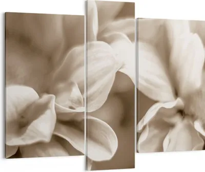 Produktbild von Bild auf Leinwand - Leinwandbild - 3 Teile - Blumen Boho ohne - 95x80cm - Wand Bild - Wanddeko - Wandbilder - Leinwanddruck - Bilder - Wanddekoration - Leinwand bilder - Wandbild - CB95x80-4767