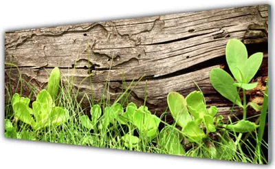 Produktbild von Acrylglasbilder 125x50 Wandbild Druck Gras Blätter Pflanzen