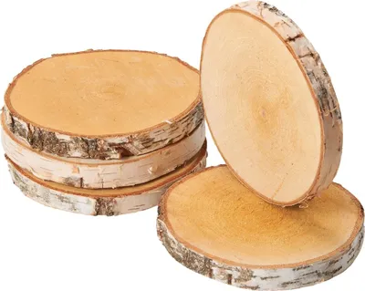 Image de Rondelles d'arbre 5 pcs. Bois de décoration Disques en bois 15 - 18 cm