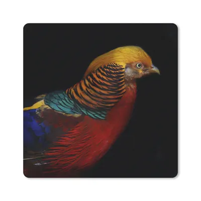 Produktbild von MuchoWow® Mauspad Mousepad Vogel - Federn - Schwarz - Porträt 30x30 cm - Mousepads - Maus Mat - Pad - Mausunterlage - Gaming