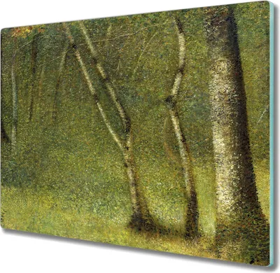 Produktbild von Coloray Hackbrett Kochplattenabdeckung Herdabdeckplatte 60x52 cm Schneidebrett Küchenbrett - Las Seurat
