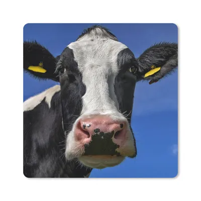 Produktbild von MuchoWow® Mauspad Mousepad Kuh - Blau - Tiere 30x30 cm - Mousepads - Maus Mat - Pad - Mausunterlage - Gaming