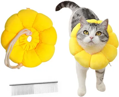Produktbild von Erholungsband, Schutzweiche Tierhalsband, Verstellbar, 17-27 cm, für Nach der Chirurgie