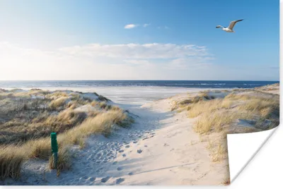 Produktbild von MuchoWow® Poster Düne - Möwe - Strand - Meer - Sonne 30x20 cm - Plakate - Print