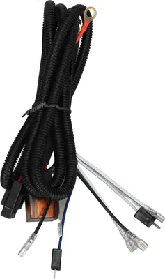 Image de 12 -V -Horn -Kit de relais de faisceau de câbles 1,9m câble 50w un à deux air pour voiture de moto