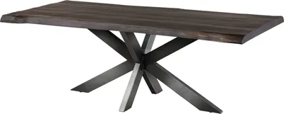 Image de MASSIVMOEBEL24 | Table à manger 200x100 en bois de manguier gris taupe pied central anthracite brillant FREEFORM 5