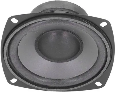 Imagen del producto de Altavoz de graves para automóvil - 5 pulgadas - Alta sensibilidad -  - Sistema de audio para automóvil
