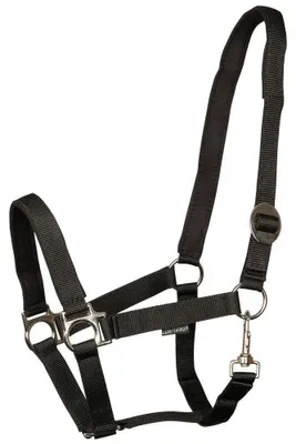 Produktbild von Harry´s Horse Padded Halfter Schwarz Full Schwarz Full