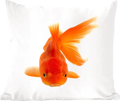 Produktbild von MuchoWow® Zierkissen Sofakissen Wohnzimmer Dekokissen 50x50 cm Goldfisch - Meerestiere - Orange - Komfort - Sofakissen